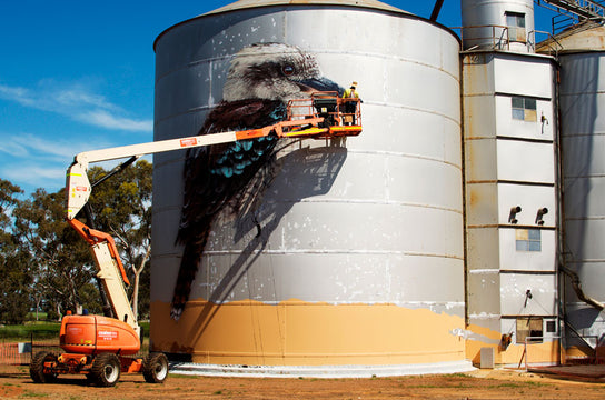 Goroke Silos with Geoffrey Carran