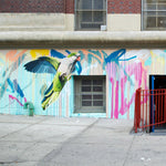 Brooklynk NYC Residency Dos Puentes School