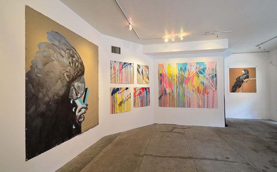 XY Atelier Southern Skies New York