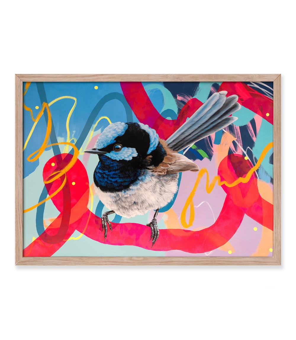 Blue Wren - Joan Kirner Hospital Collaborative Print