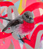 products/pink-robin-jk-collab-rowena-martinich-art-print-03.jpg