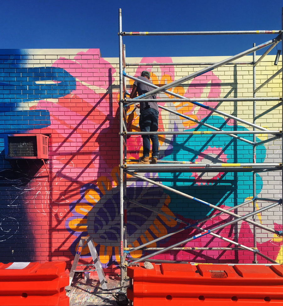 Adornment - Little India Precinct Mural